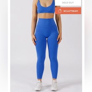 NWT ParagonFitwear Original sculptseam legging